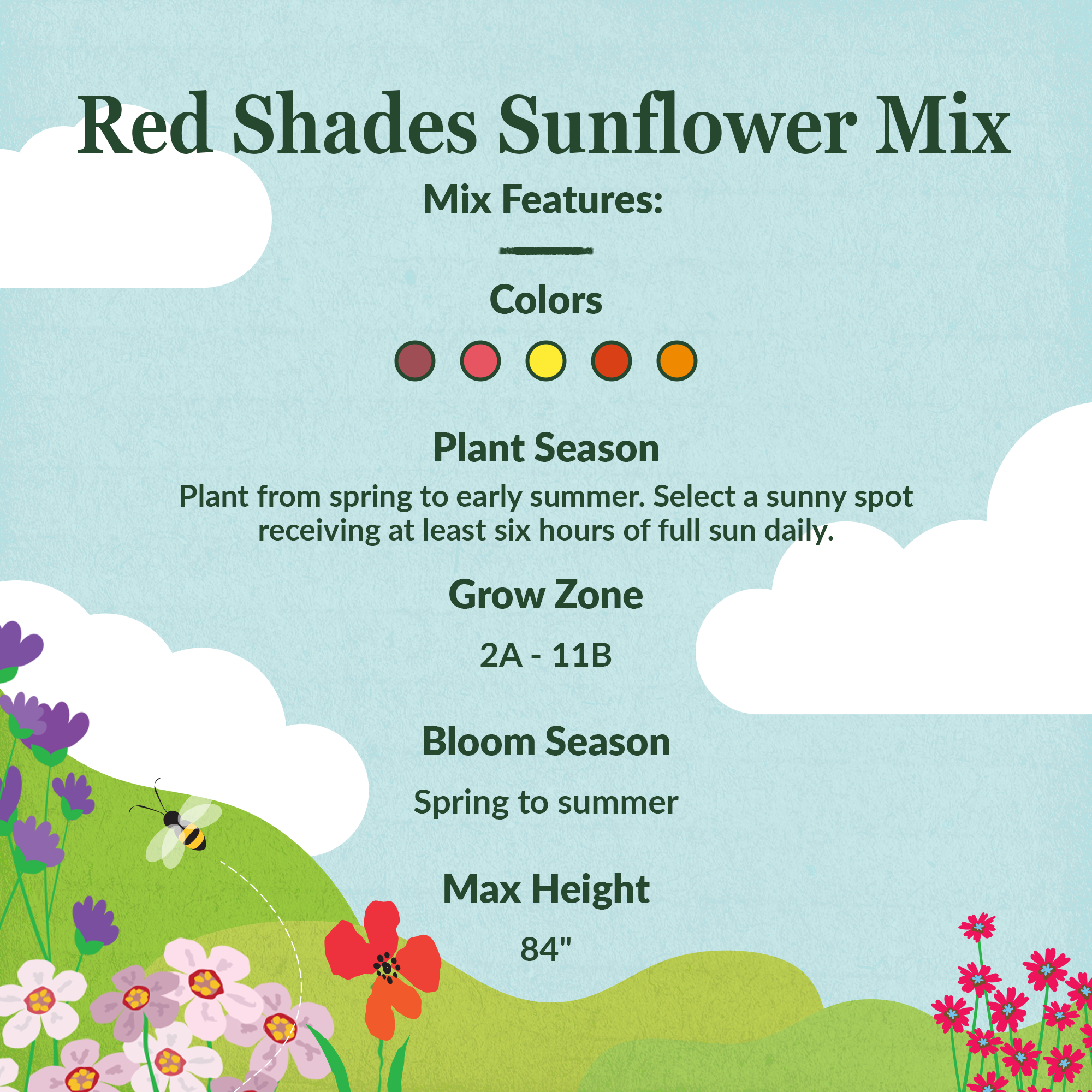 Red Shades Mix Bulk Sunflower features